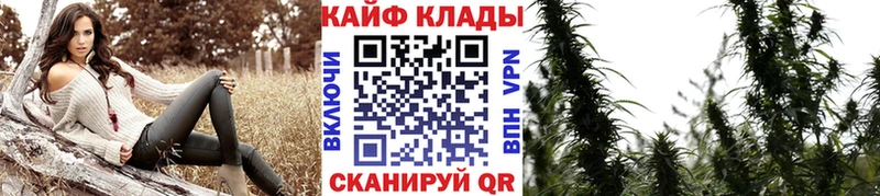 Виды наркоты Отрадная Канабис  МЕФ  Кокаин  ГАШ 