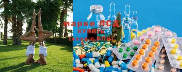 гидра Алексин