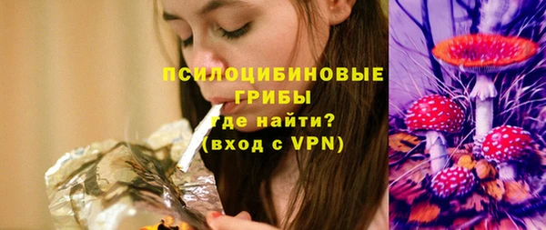 шишки Алзамай