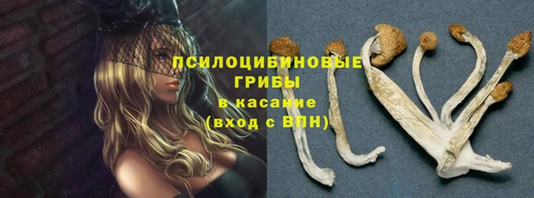 гидра Алексин