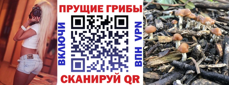 Галлюциногенные грибы мухоморы  мега ТОР  Отрадная 