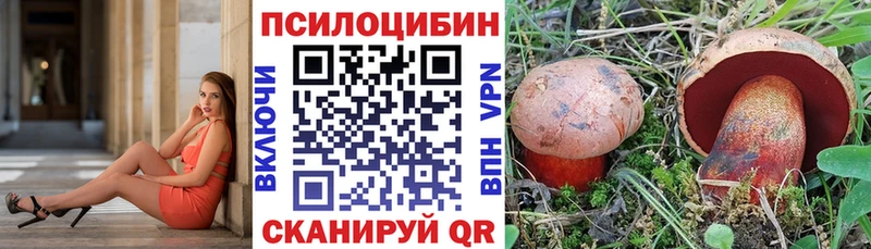 Галлюциногенные грибы MAGIC MUSHROOMS Отрадная